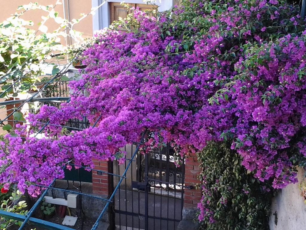Casa Bouganville La Spezia Luaran gambar