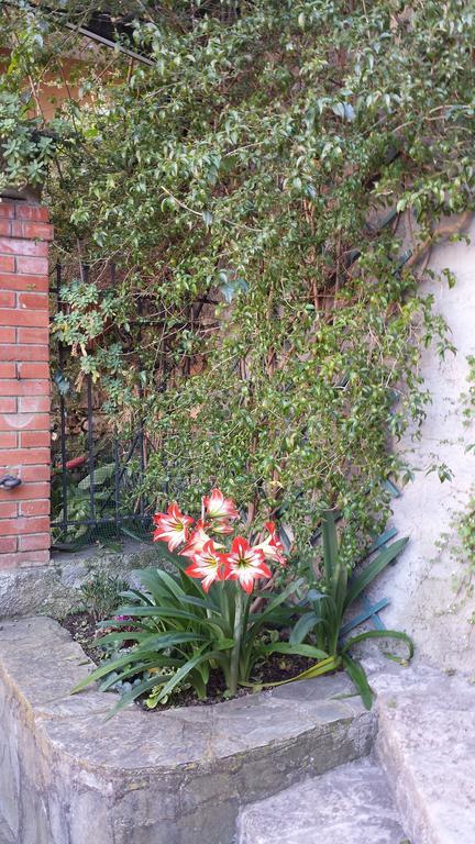 Casa Bouganville La Spezia Luaran gambar