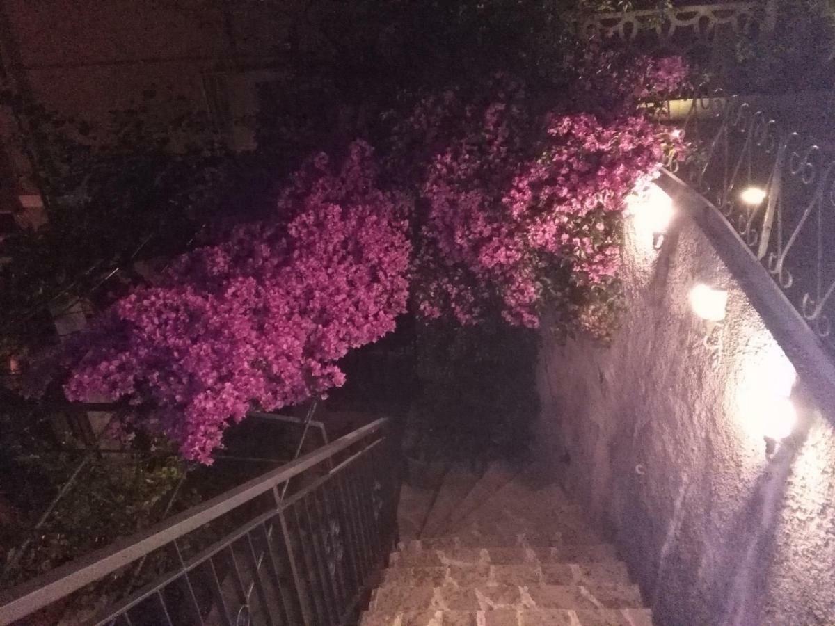 Casa Bouganville La Spezia Luaran gambar